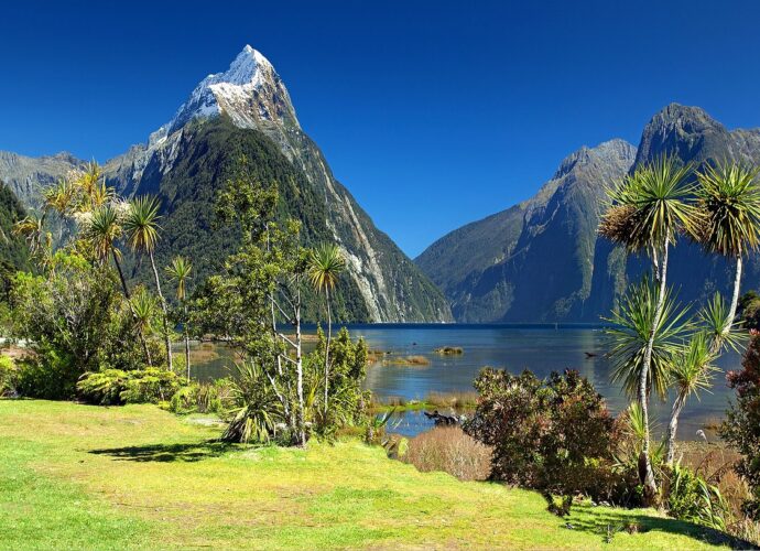 Maori-Kultur in Neuseeland: Traditionen und Bräuche